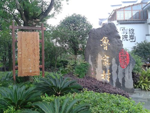 安吉鲁家村风景区-图3