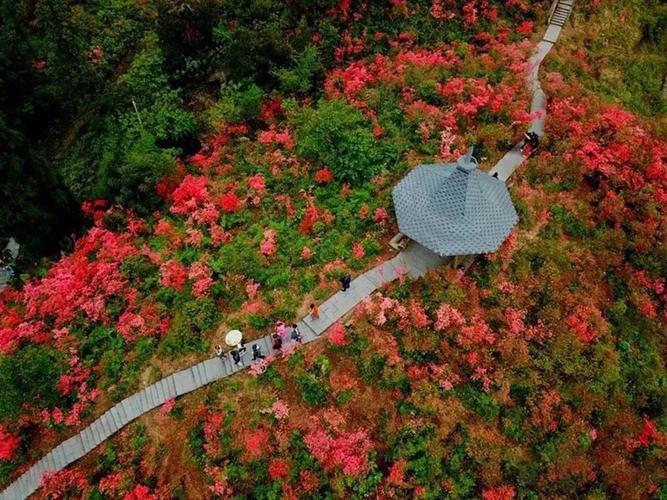 高姥山风景区门票-图3