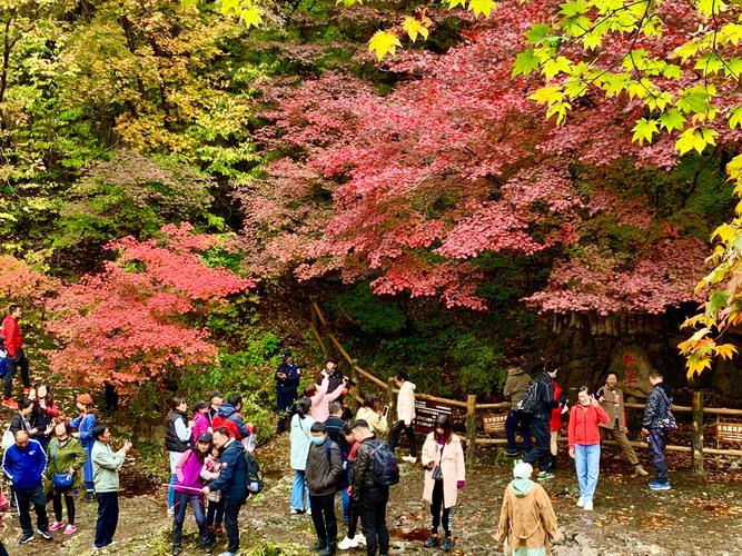 关门山风景区枫王-图1