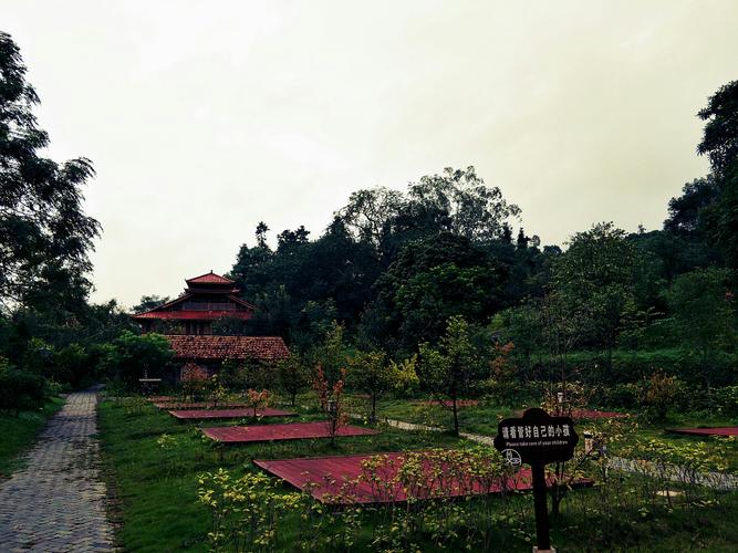 宜州拉浪林场风景区-图1