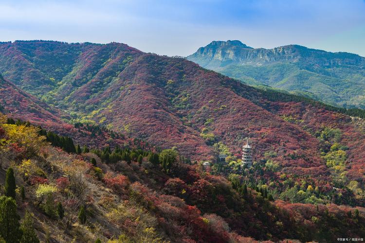 临朐红叶谷风景区-图1