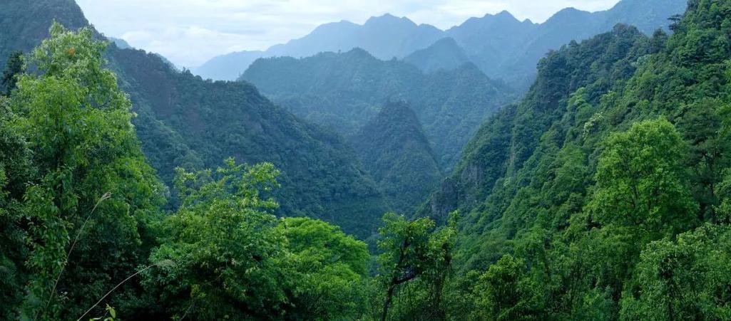 九江风景区天气-图2