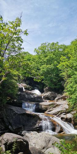 重庆云雾山风景区-图3