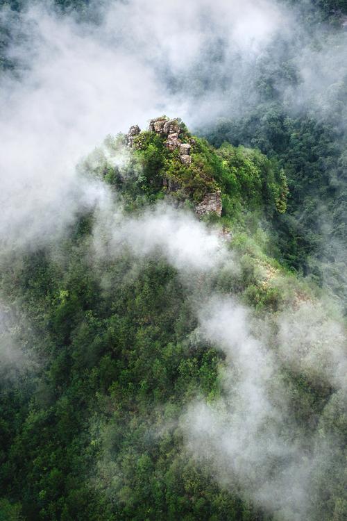 重庆云雾山风景区-图1