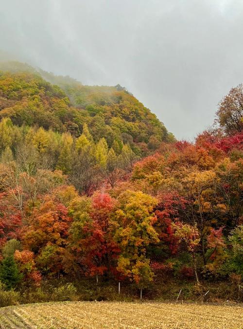 洋湖沟风景区收费吗-图1