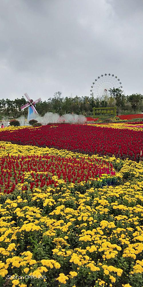 呼市百花谷风景区-图1