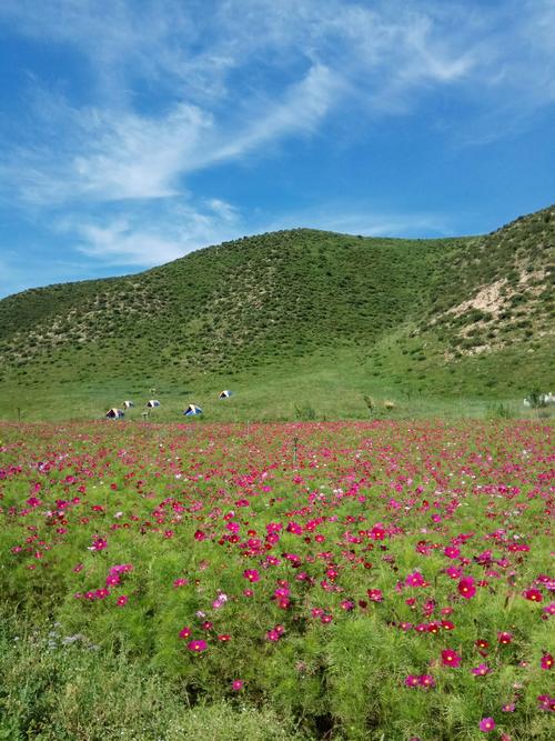 呼市百花谷风景区-图2