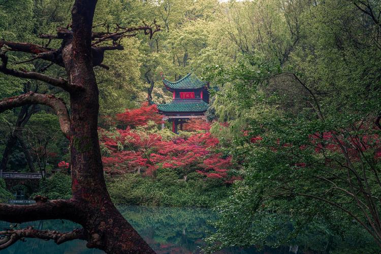 长沙市岳麓山风景区-图3