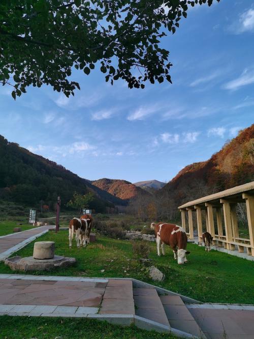 怎样游七里峪风景区-图1