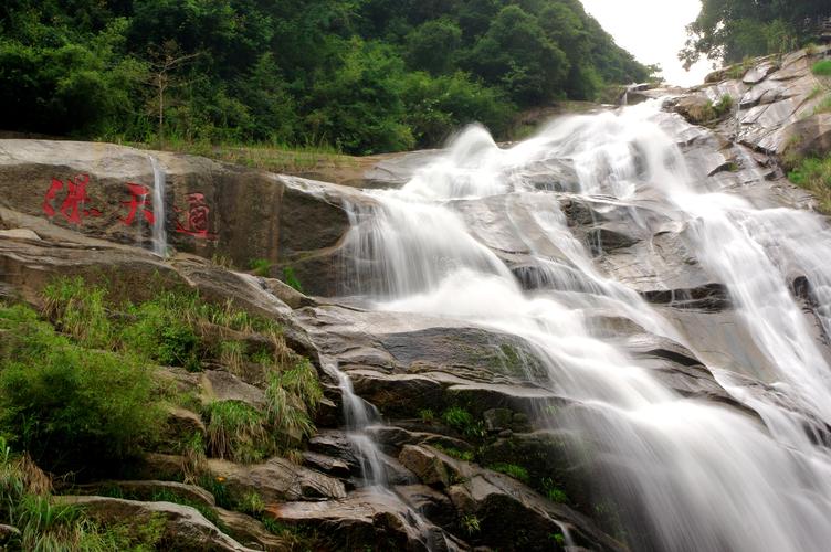 武平梁野山风景区图片-图2