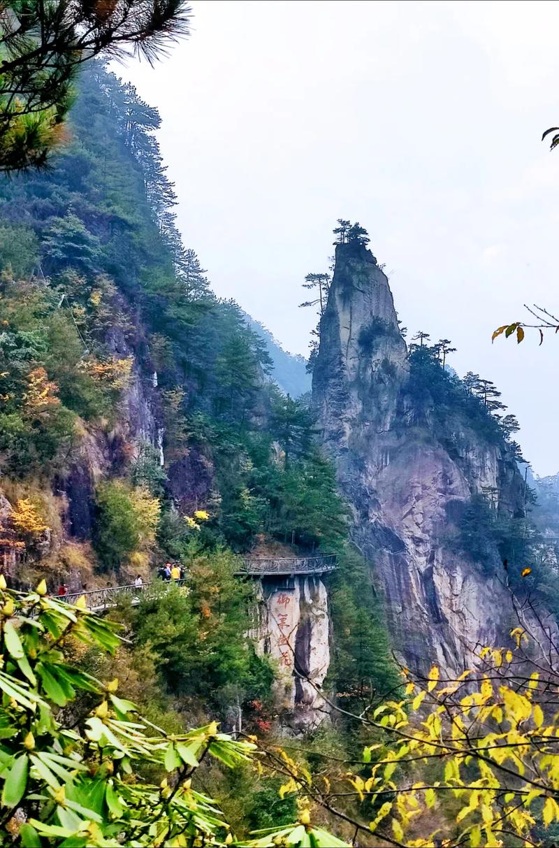 临安大明山风景区免费-图1