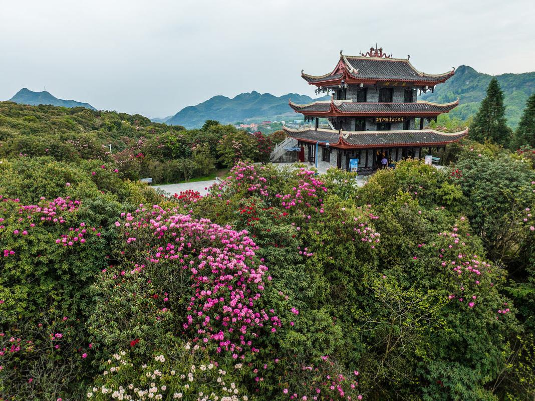 毕节风景区有哪些地方-图2