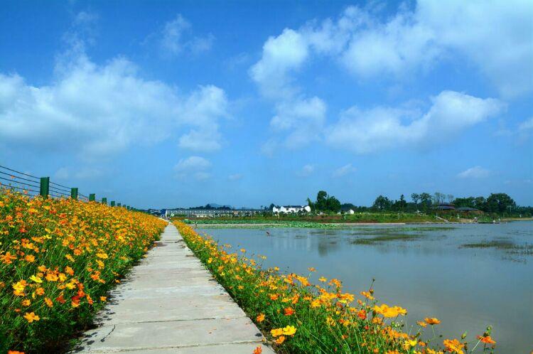 泸州分水董永坝风景区-图1