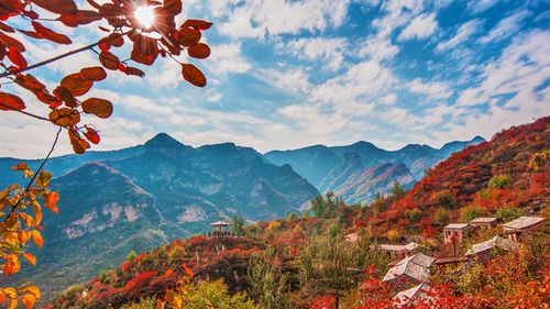 长治轿顶山红叶风景区-图1