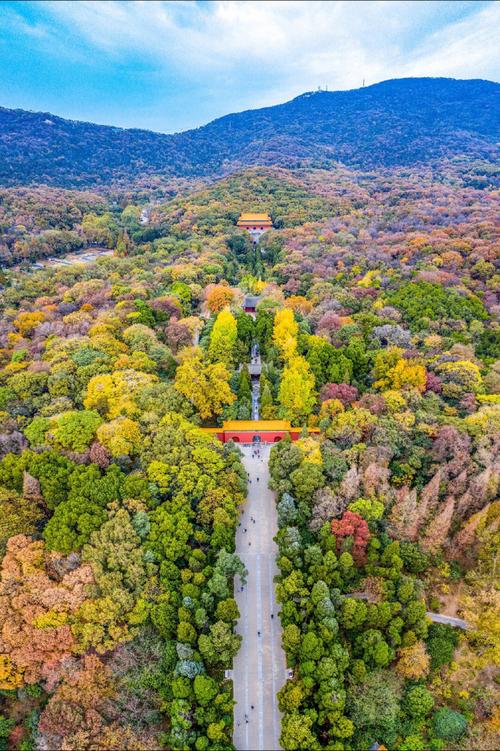 紫金山风景区图片-图2