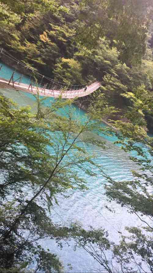 新开业溶洞吊桥风景区-图1