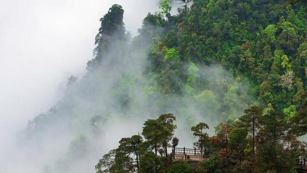 南宁大明山风景区电话-图2