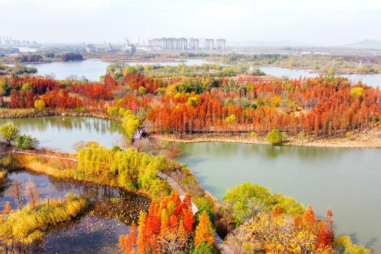 督公湖风景区门票多少-图1