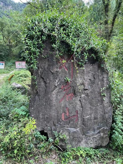 划岩山风景区门票多少-图1