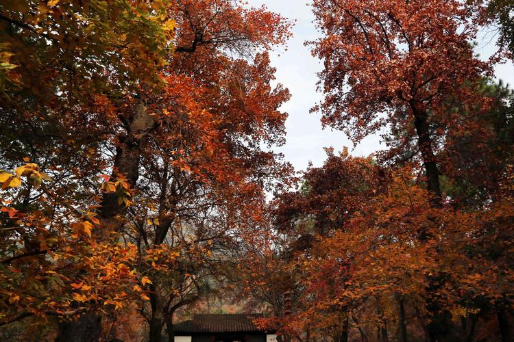 苏州天平山风景区图片-图2