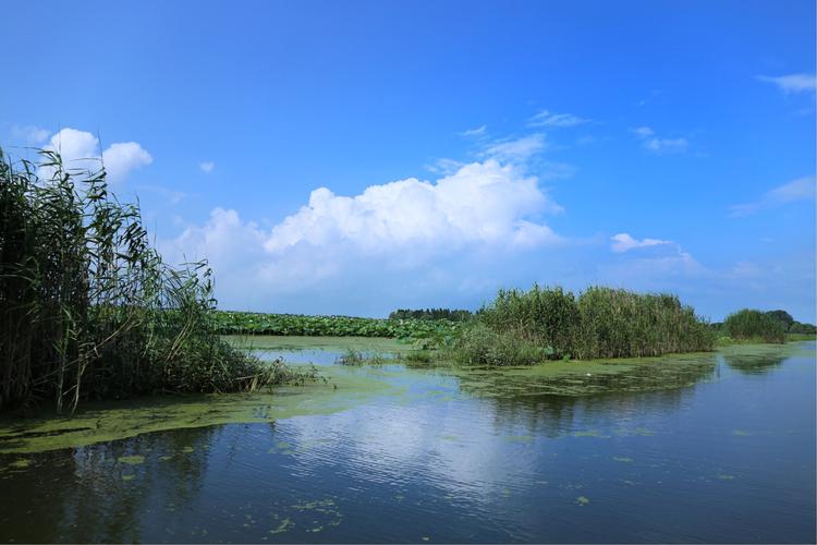 返湾湖风景区好玩吗-图3