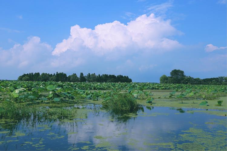 返湾湖风景区好玩吗-图1