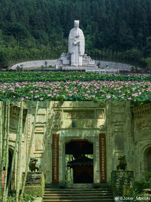 武夷山风景区旅游攻略-图3