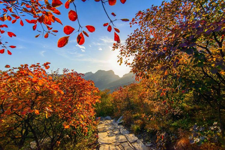 社姆山风景区门票多少-图1