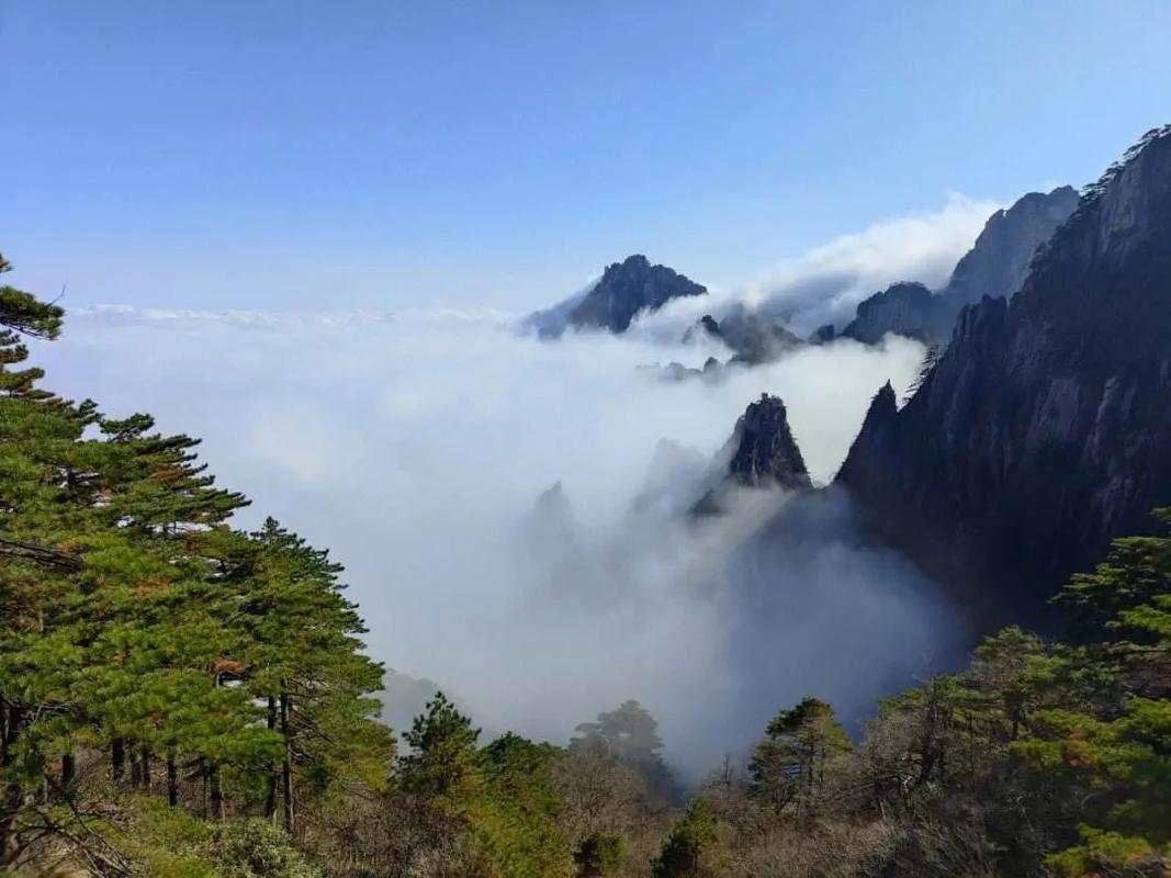 黄山旅游风景区官网-图3