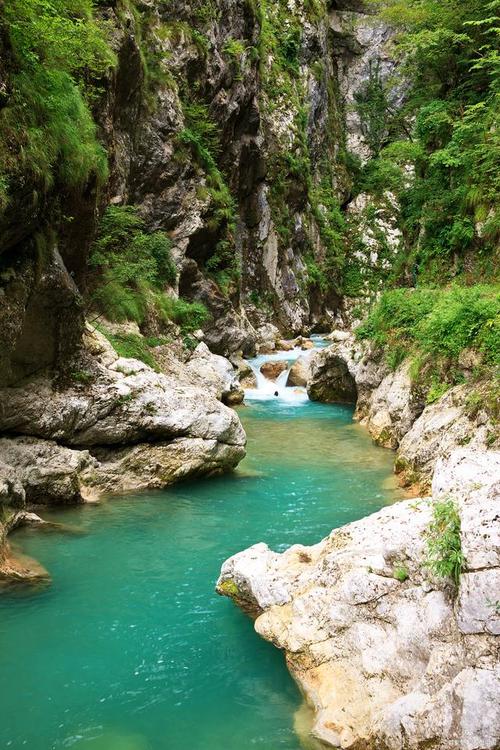 千层河风景区图片欣赏-图3