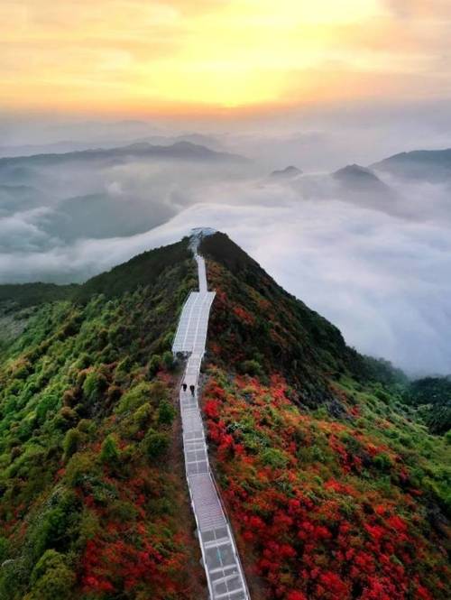 瑞安圣井山风景区门票-图1