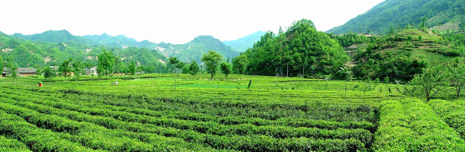 陇南阳坝梅园沟风景区-图2