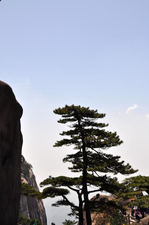 黄山风景区洪海平-图2