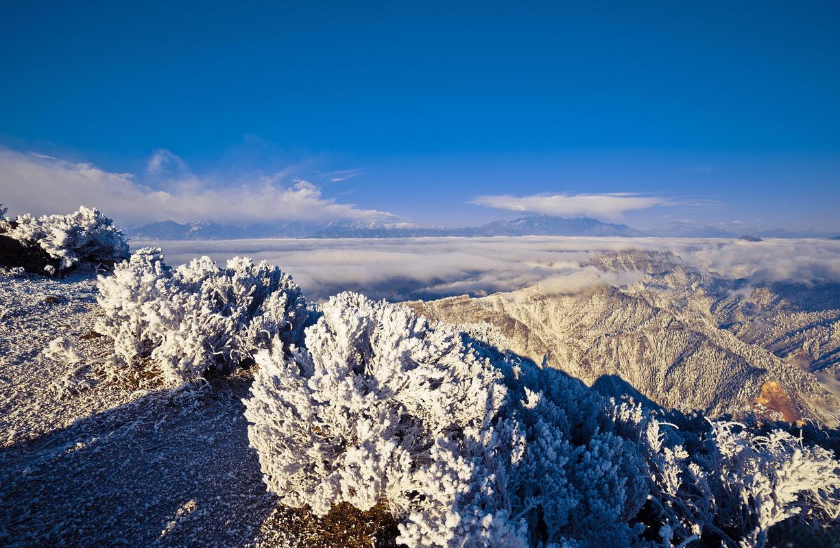 西岭雪山风景区旅游-图1