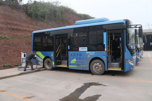 泸州九狮山风景区公车-图1