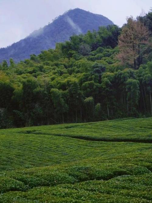 德清九天谷风景区-图1