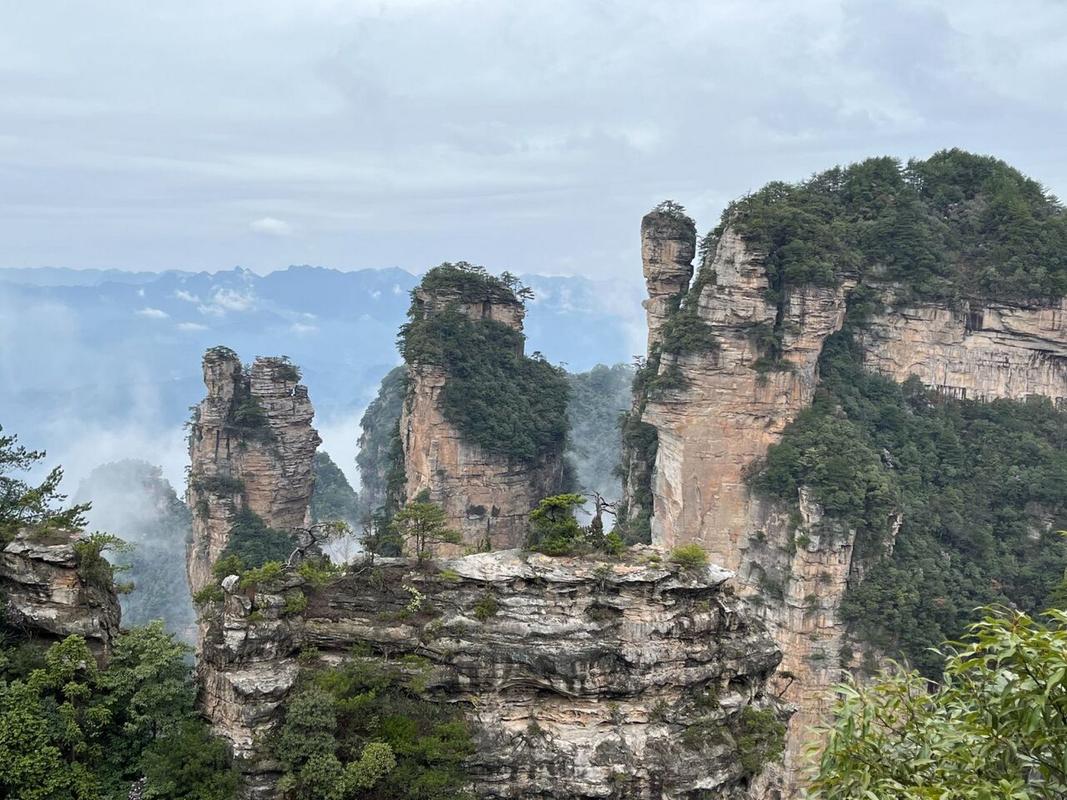 杨家界风景区看什么-图1