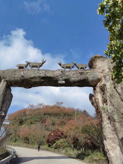 宁波杖锡山风景区门票-图2