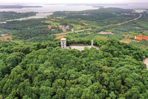 江夏天子山风景区-图1