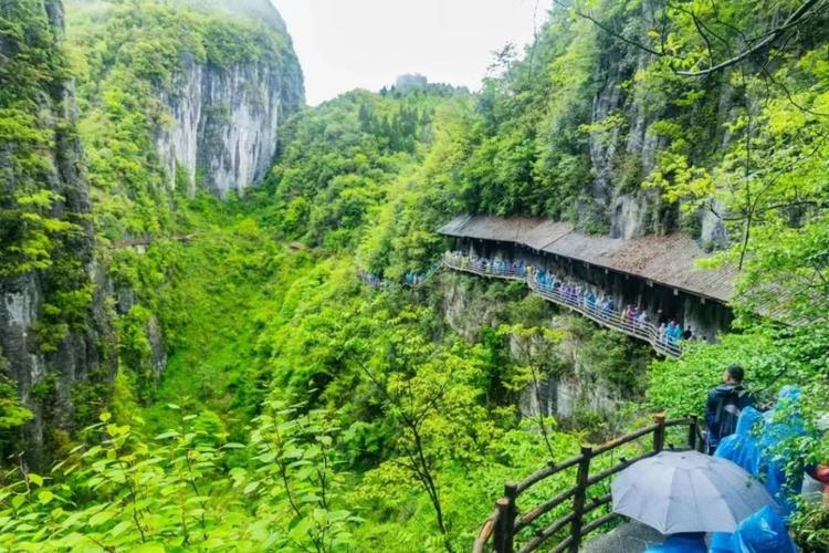 恩施到神农溪风景区-图2