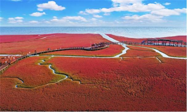 红海滩是几a风景区-图2