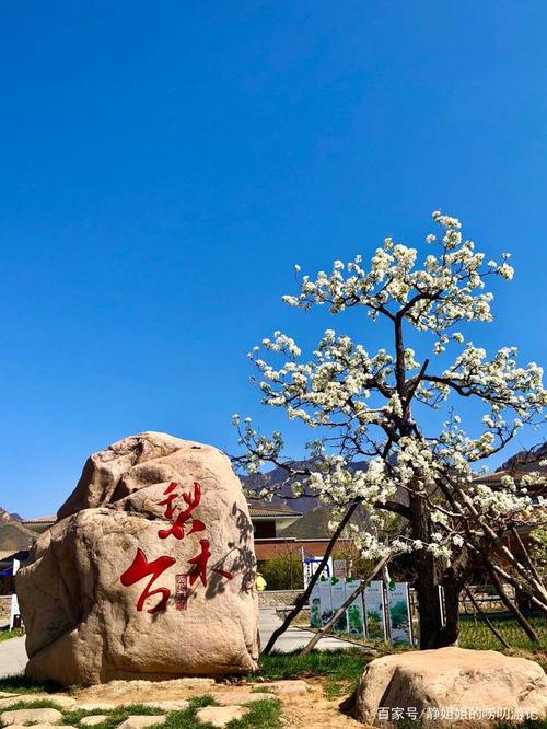 梨木台自然风景区在哪-图1