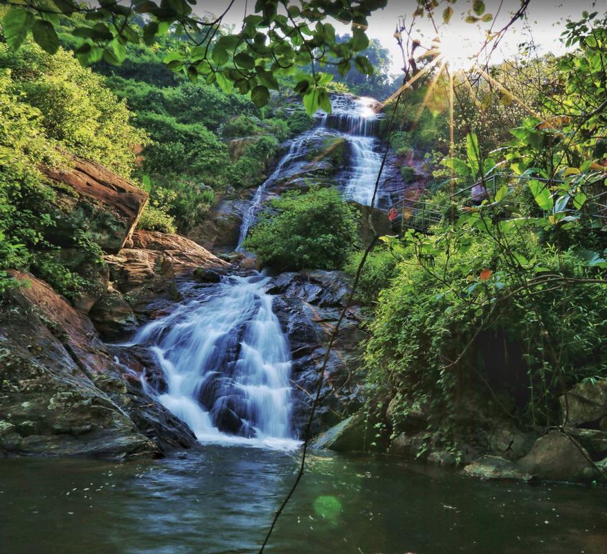 琼中百花岭风景区-图1