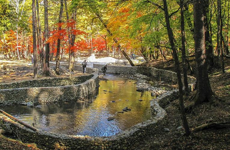 长白山莫涯泉风景区-图2