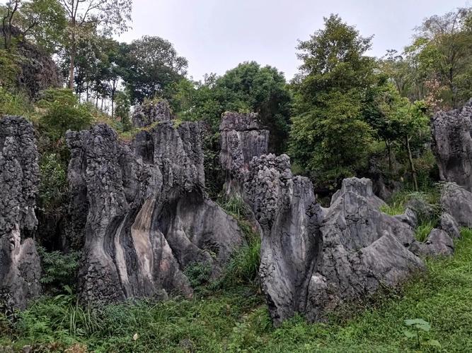 四川兴文石海风景区-图2