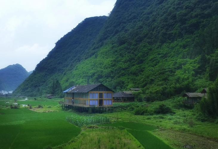 荔波茂兰景区-图3