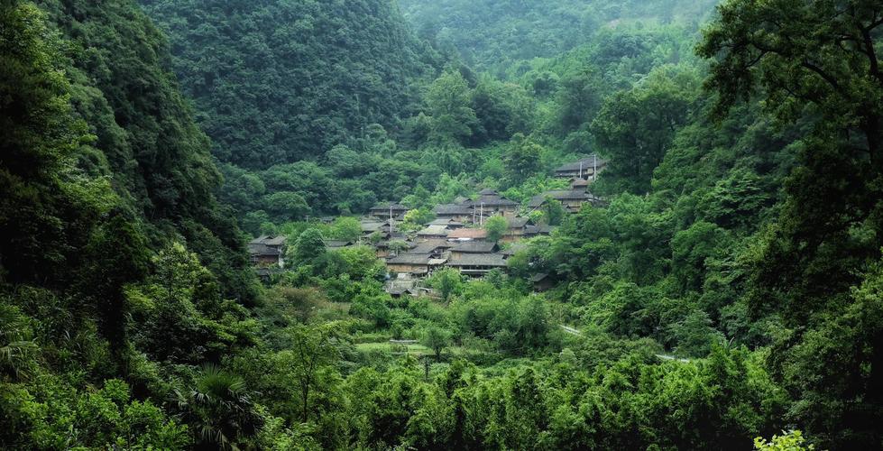 荔波茂兰景区-图2