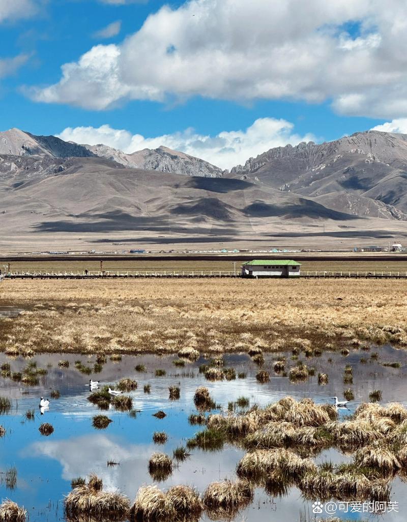 甘南花湖景区-图1