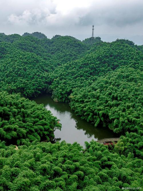 嘉阳桫椤湖景区-图3