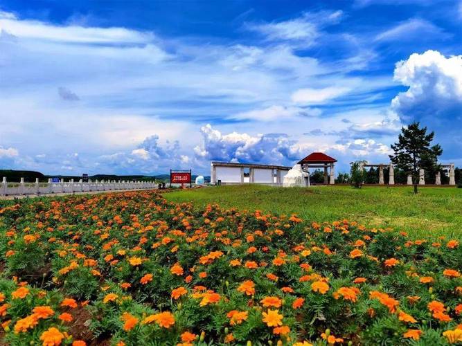 阿荣旗风景区-图3